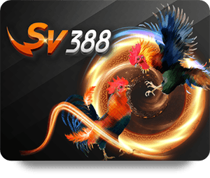 W88 Top Bet Offers Unmatched Live Betting Experience
